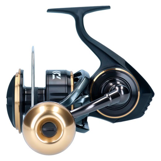 Daiwa BG MQ Ark 2020