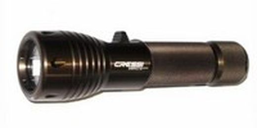 Latarnie łowiące ryby