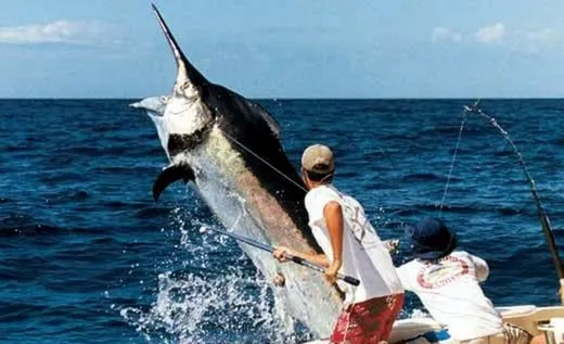 Pesca sportiva