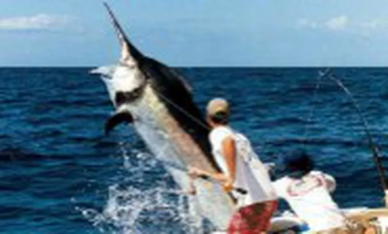 Pesca Deportiva