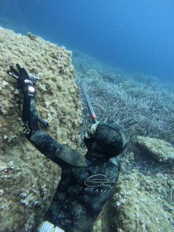 Chaqueta C4 Camo Skin Med 5mm