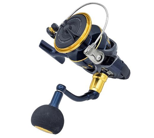 Daiwa BG BL LT