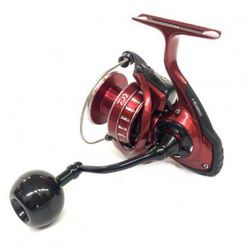 Daiwa BG LT RR ARK