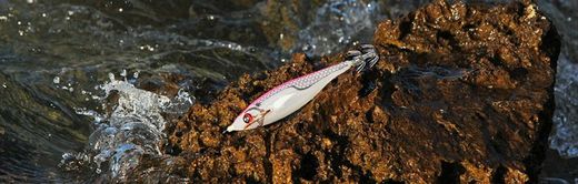 DTD Ballistic White Killer Bukva 3.0