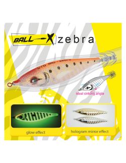 DTD Ballistic Zebra 3.0
