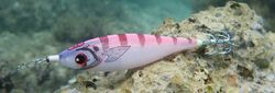 DTD Panic Fish 3.0