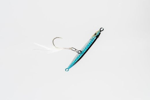 Fiiish Hypno Cast