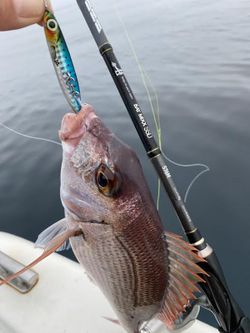 Fiiish Hypno Cast