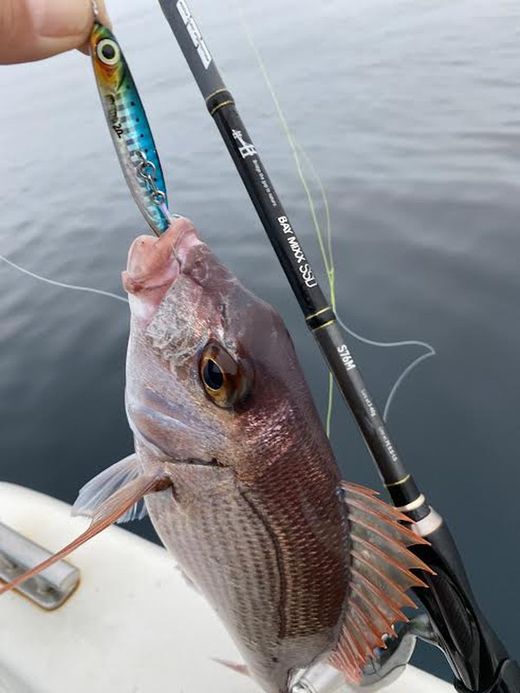 Fiiish Hypno Cast