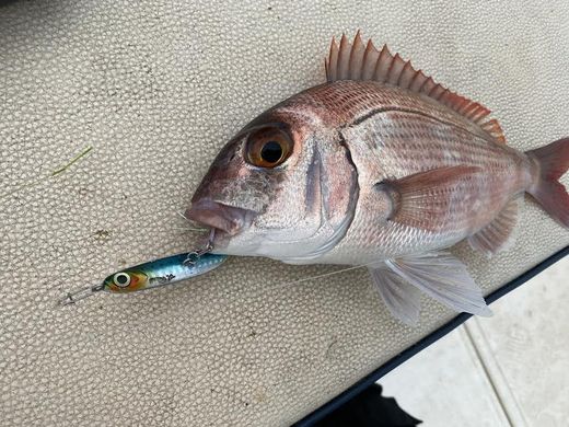 Fiiish Hypno Cast