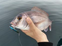 Fiiish Hypno Cast