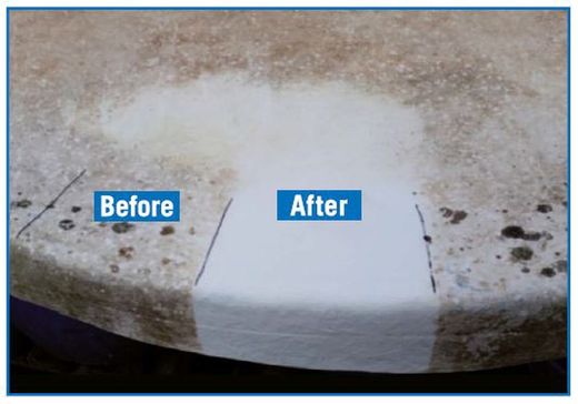 Limpiador de Moho Sadira