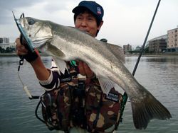 Mały Jack Sayoris-Z