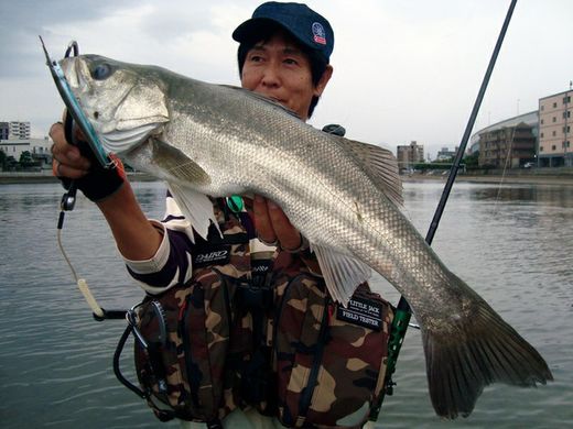 Mały Jack Sayoris-Z