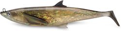 Live Dredge Mackerel