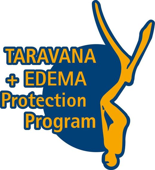 Ordenador Cressi Nepto