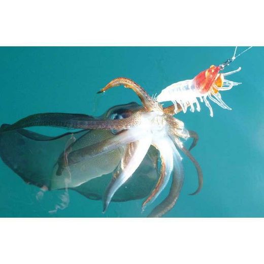 Savage Gear 3D Hybrid Shrimp Egi