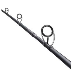 Shimano Salty Advance Eging