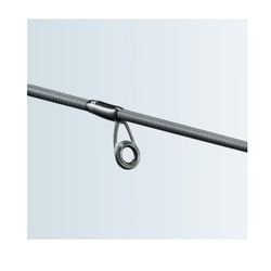 Shimano Salty Advance Eging
