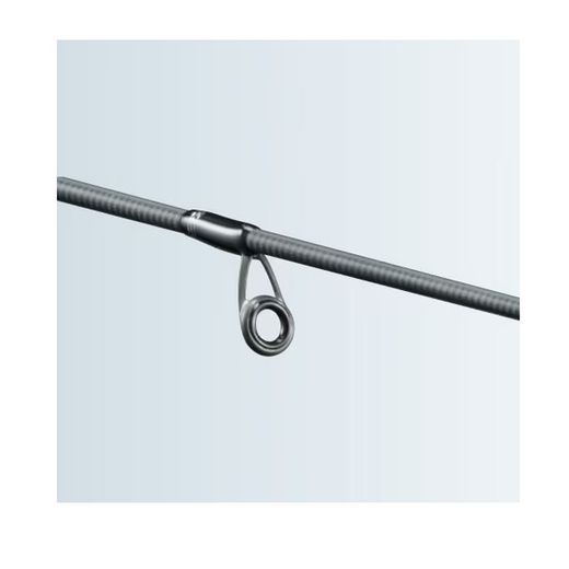 Shimano Salty Advance Eging
