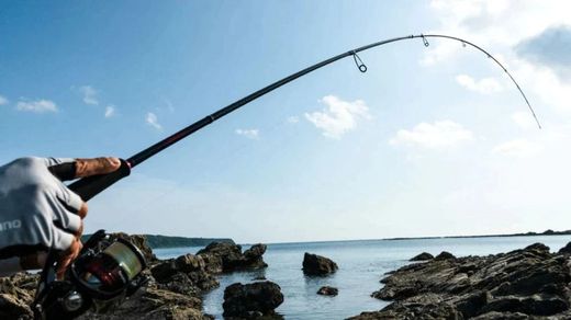 Shimano Sephia BB Spinning Eging