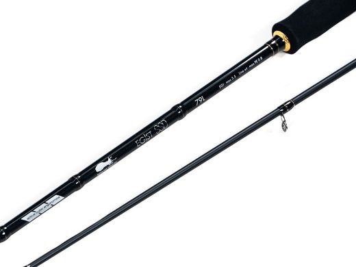 Tailwalk Egist SSD 79L