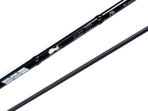 Tailwalk Egist SSD 79L