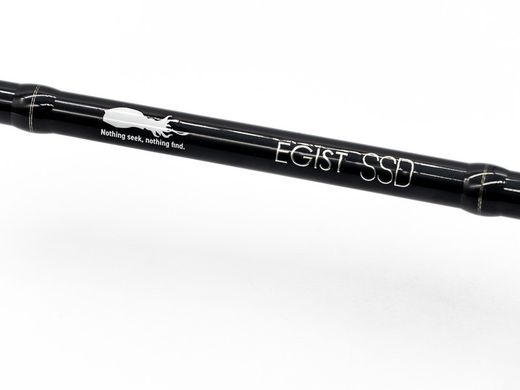 Tailwalk Egist SSD 79L