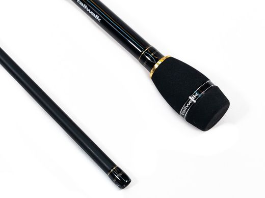 Tailwalk Egist SSD 79L