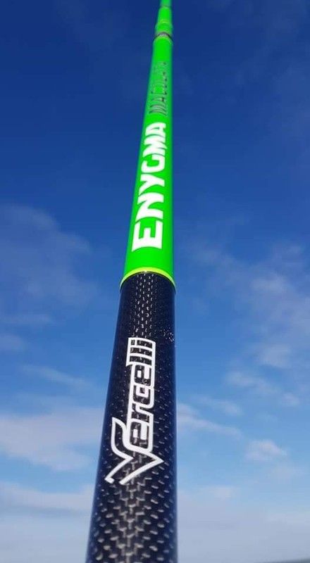 Vercelli Enygma Maculata 420